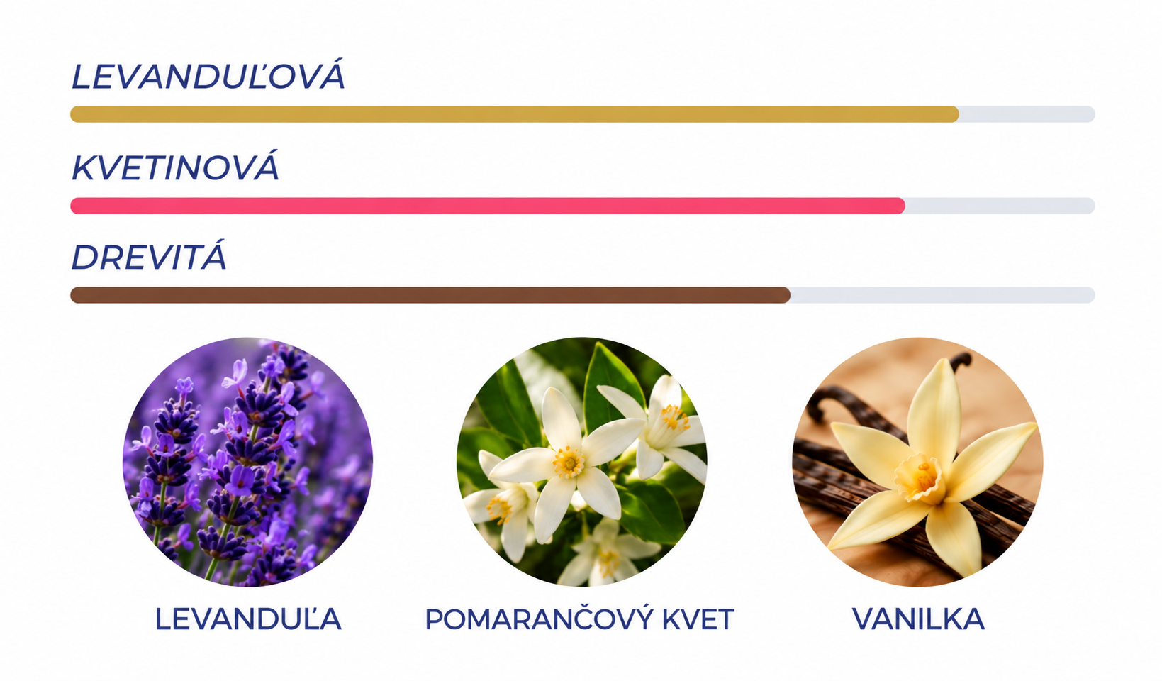 Minimalistný profil levanduľovej vône